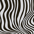 motif Zebra pour plafond Barrisol Creadesign