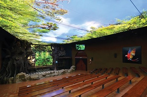 Interior staircase with huge wall canvas printed with flowers