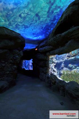 Aquarium von Palma de Mallorca