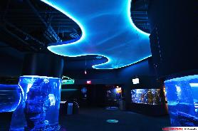 Ripley’s Aquarium