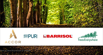 5168 trees planted - Barrisol® reiterates its ecological commitment